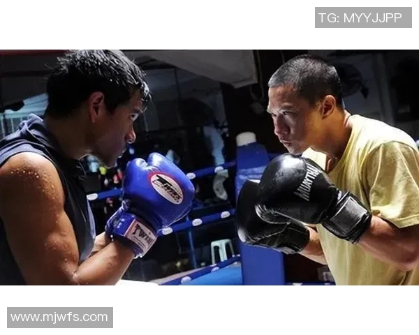 成都乒乓球队的崛起之路：从默默无闻到全国瞩目的成长历程