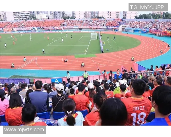 杭州排球队的华丽转身联合会杯背后的奋斗与蜕变之路