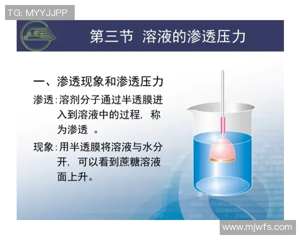 武汉篮球队边路渗透战术分析及其对比赛结果的影响探讨 武汉篮球队边路渗透战术分析及其对比赛结果的影响探讨