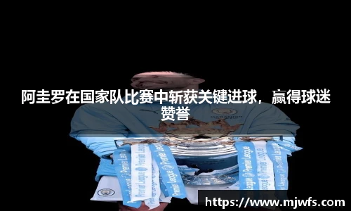 B体育