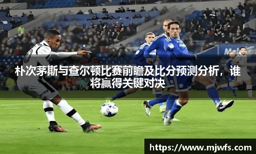 B体育